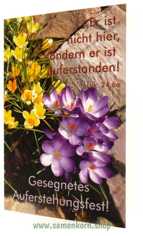 24_05_Kartenset_Auferstehungsfest4.jpg