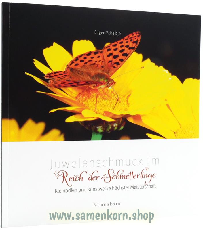894280_Juwelenschmuck_im_Reich_der_Schmetterlinge.jpg