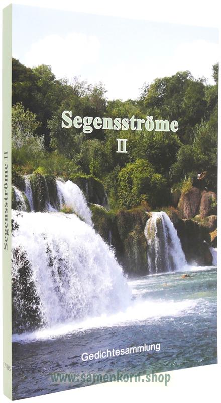 020610_Segensstroeme_II.jpg