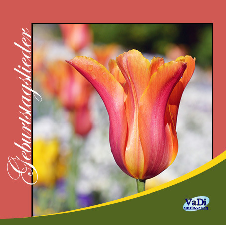 CD_4026_Geburtstagslieder_Cover_klein.jpg