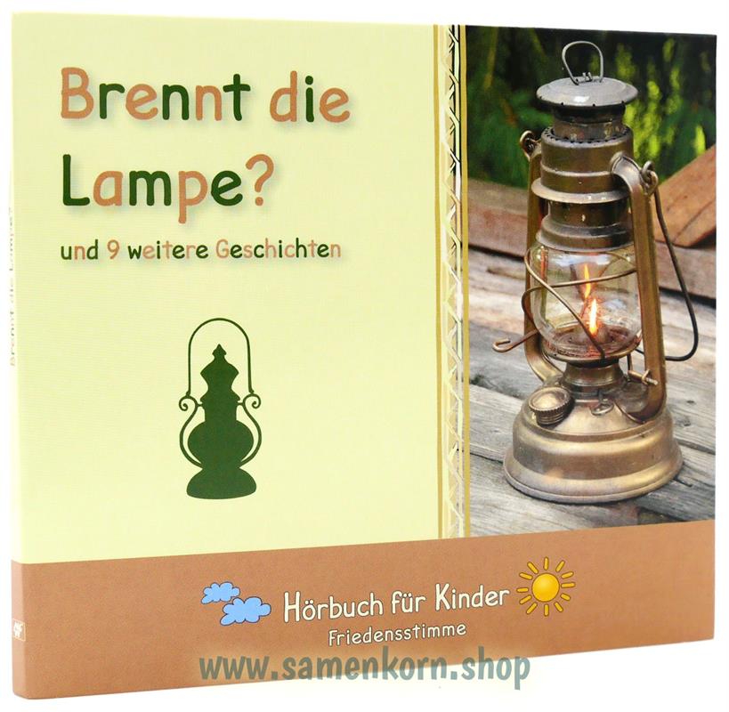 503172_Brennt_die_Lampe.jpg