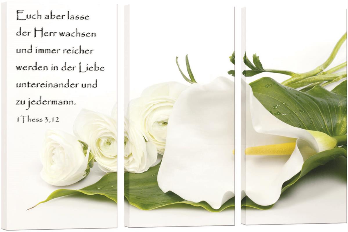Weisse_Calla_und_Rosen_3_Teile.jpg