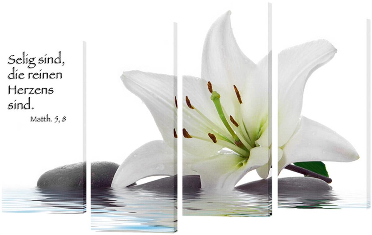 420_Bild_Lilie_im_Wasser_weiss_4_Teile.jpg