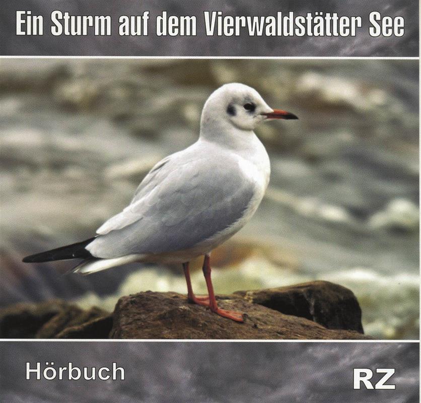 Ein_Sturm_auf_dem_Vierwaldstaetter_See.jpg