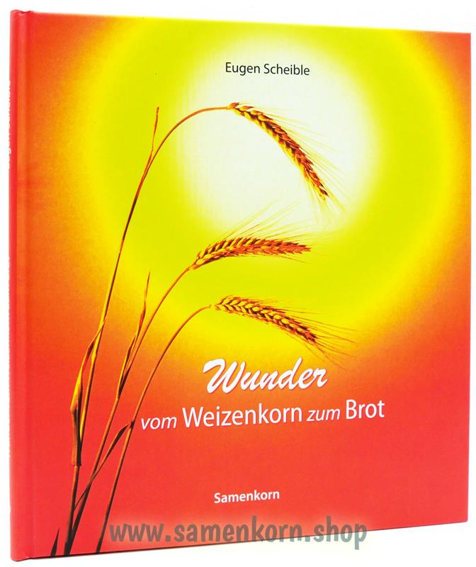 894206_Wunder_vom_Weizenkorn_zum_Brot2.jpg