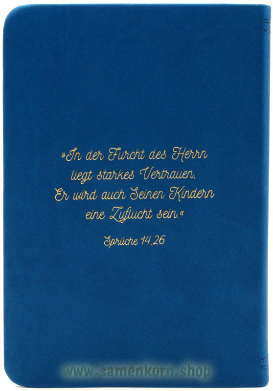 875286_Biblische_Erziehung2.jpg
