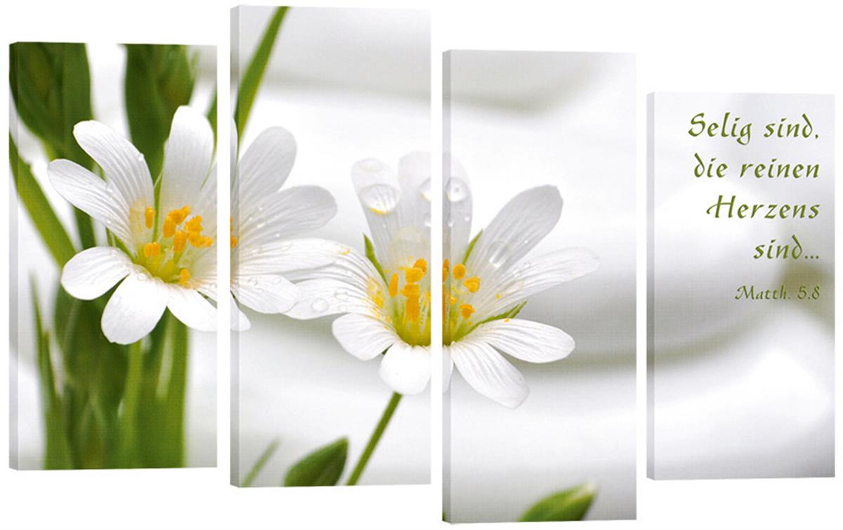423_Bild_Weisse_Blumen_4_Teile.jpg