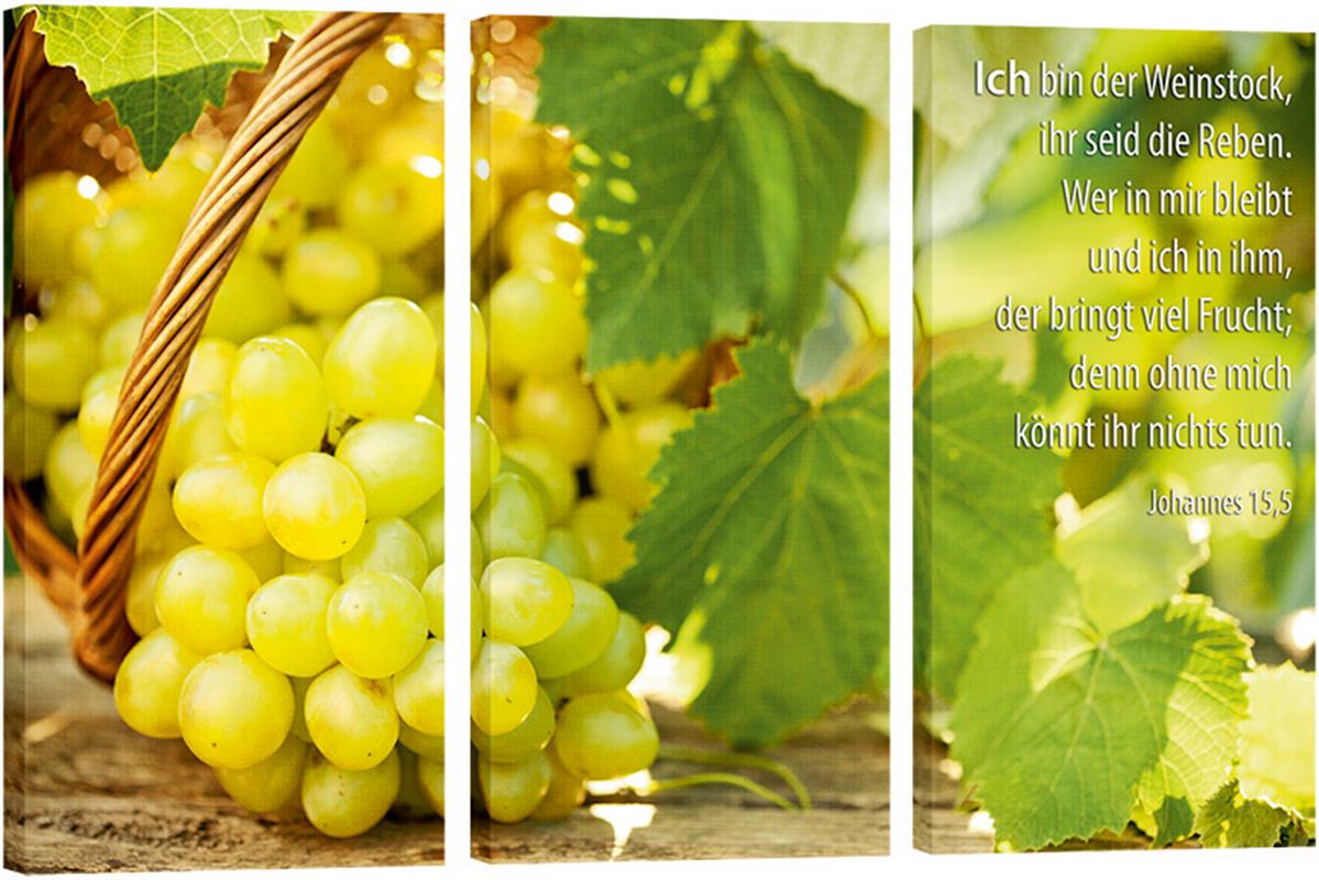 355_Bild_Weintraube_3_Teile.jpg