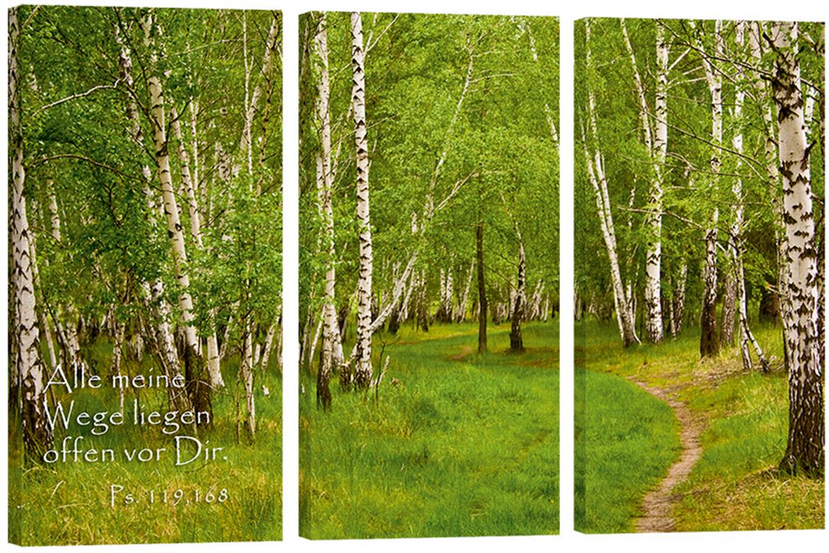 318_Bild_Birkenwald_3_Teile.jpg