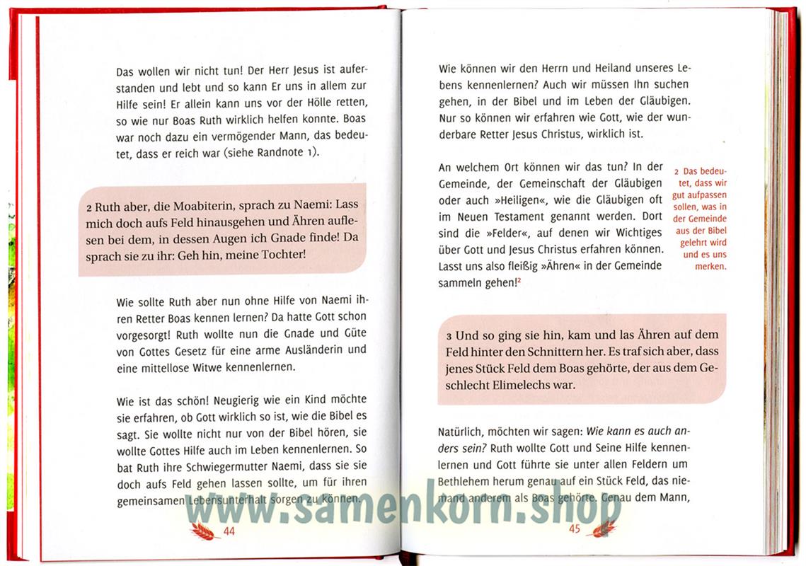 588534_Das_Buch_Ruth4.jpg