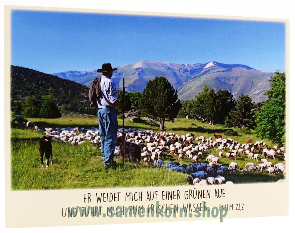 179731904_Postkarten_Der_gute_Hirte5.jpg