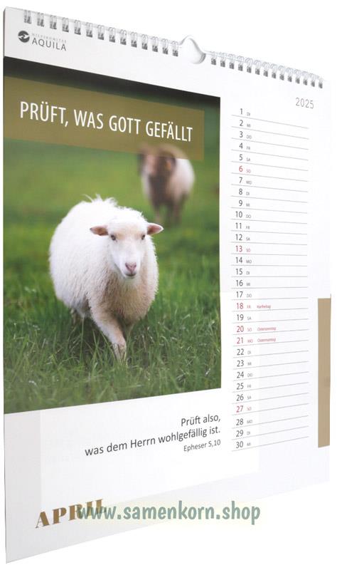 2025d_Kalender2.jpg