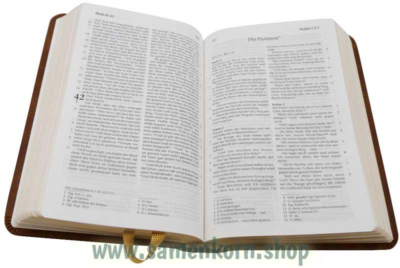 260020_Bibel5.jpg