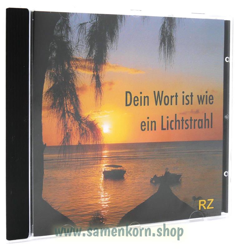 1022_Dein_Wort_ist_wie_ein_Lichtstrahl.jpg