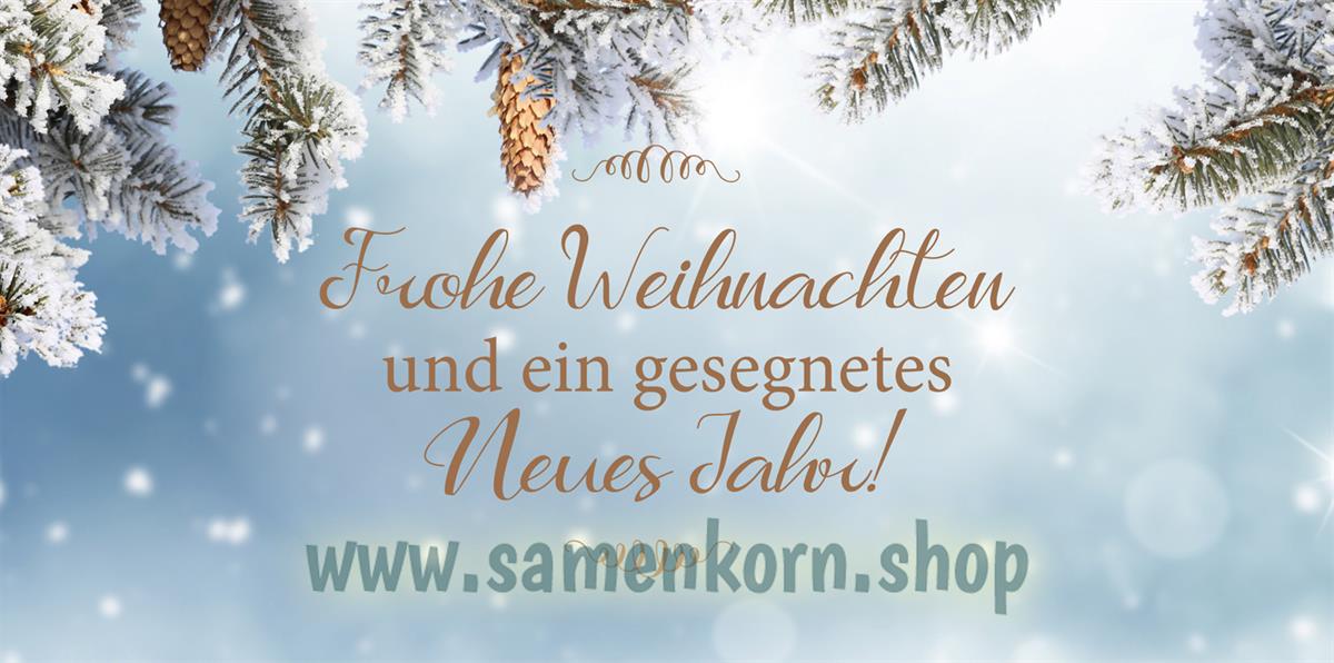 116136_Weihnachtskarte_Weihnachten_und_Neujahr.jpg