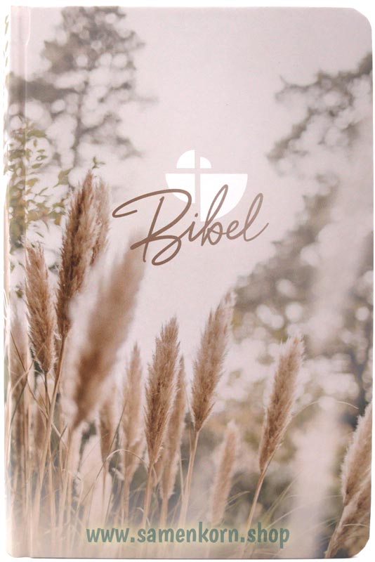 256030_Bibel.jpg