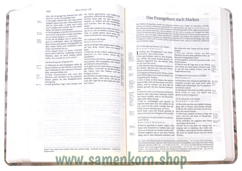 256030_Bibel5.jpg