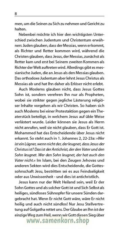 6pdf894092_Der_Christ_und_der_Sieg.jpg