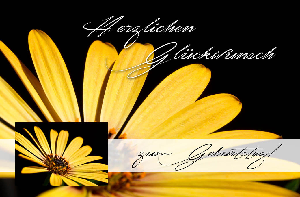 4731___zum_Geburtstag2.jpg