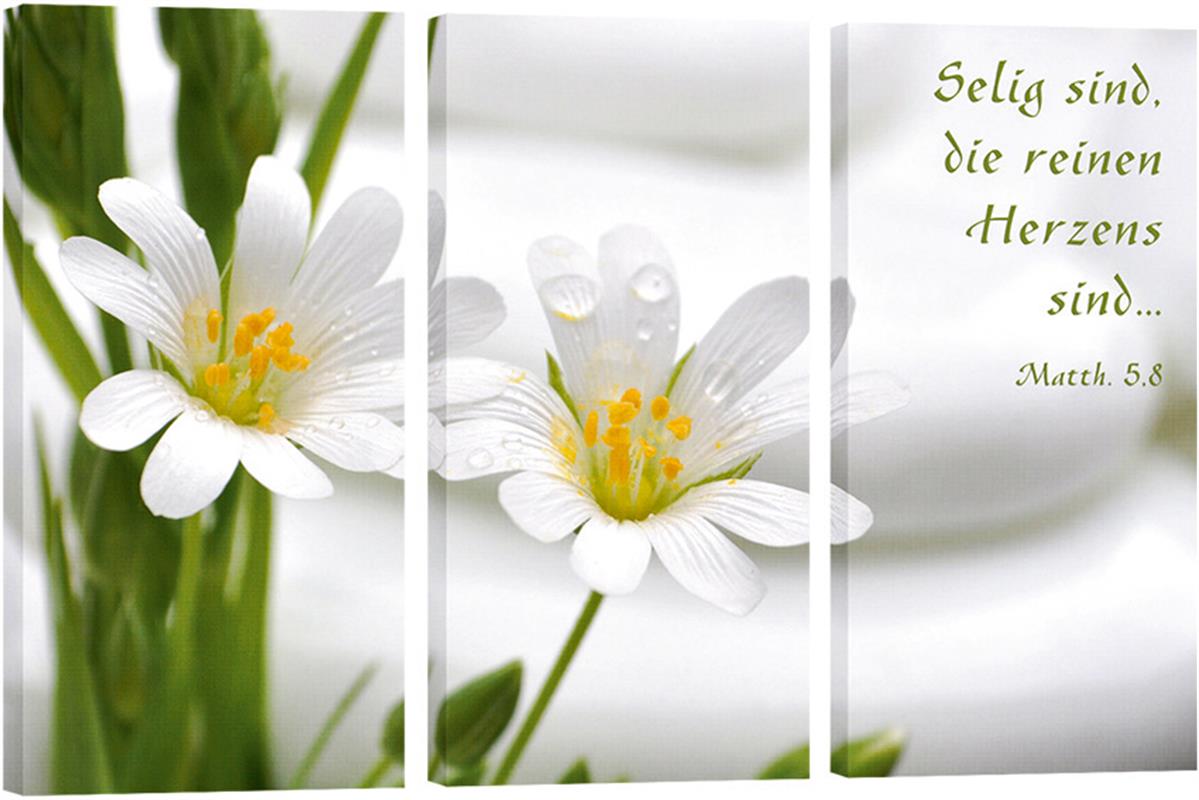 350_Bild_Weisse_Blumen_3_Teile.jpg