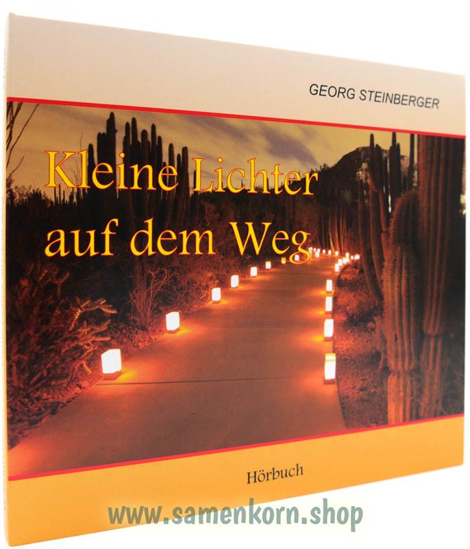 01108_Kleine_Lichter_auf_dem_Weg.jpg