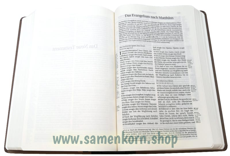 256031_Bibel5.jpg
