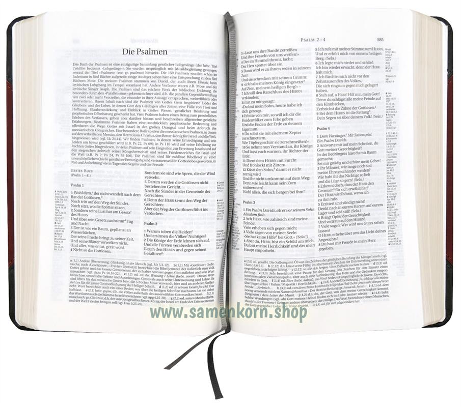 255064_Die_Bibel_Schlachter_20004.jpg
