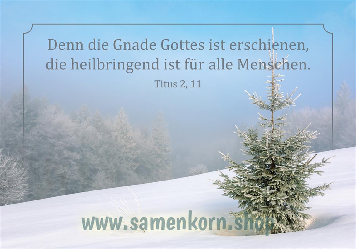 116135_Weihnachtskarte_Titus211.jpg