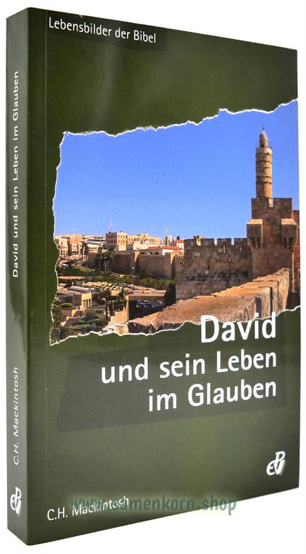 50024_David_und_sein_Leben_im_Glauben.jpg