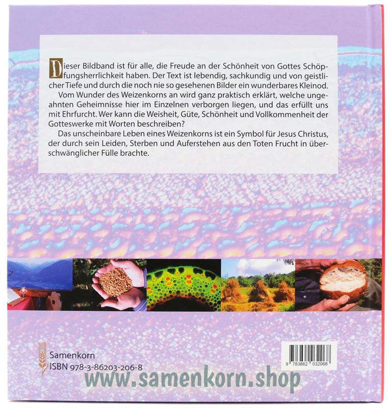 894206_Wunder_vom_Weizenkorn_zum_Brot3_2.jpg