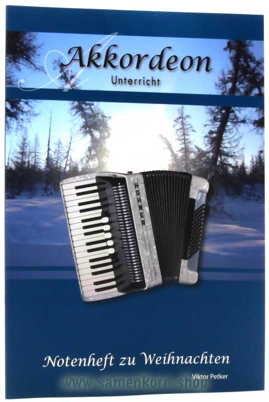 116116_Akkordeon_Untericht_Weihnachten.jpg