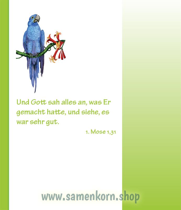 1pdf894157_Entdecke_die_Bibel_AT.jpg