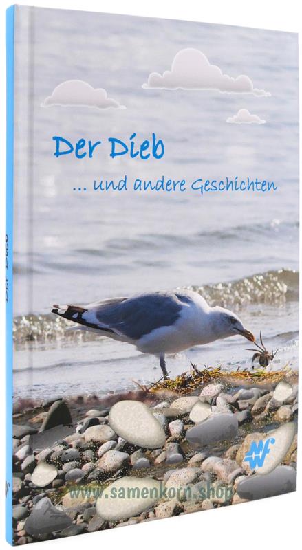 503081_Der_Dieb.jpg