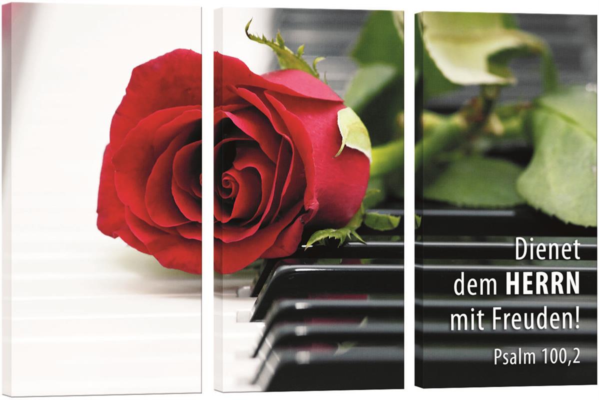 Rose_auf_Klavier_3_Teile.jpg