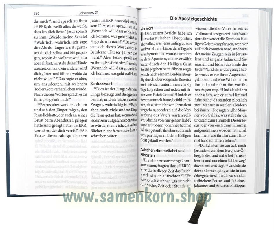 548456_Die_Bibel4.jpg