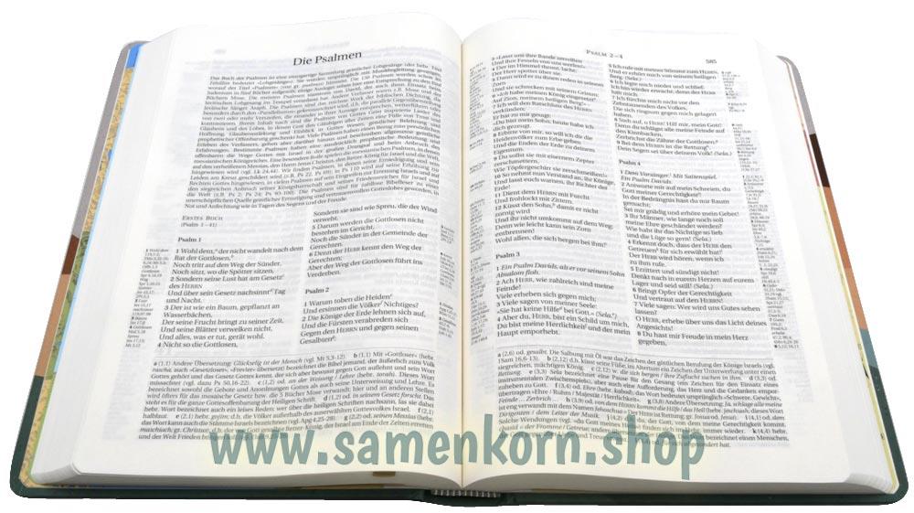255095_Bibel4.jpg