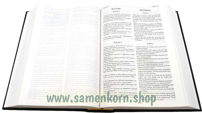 561084_Bibel_Russisch_Deutsch4.jpg