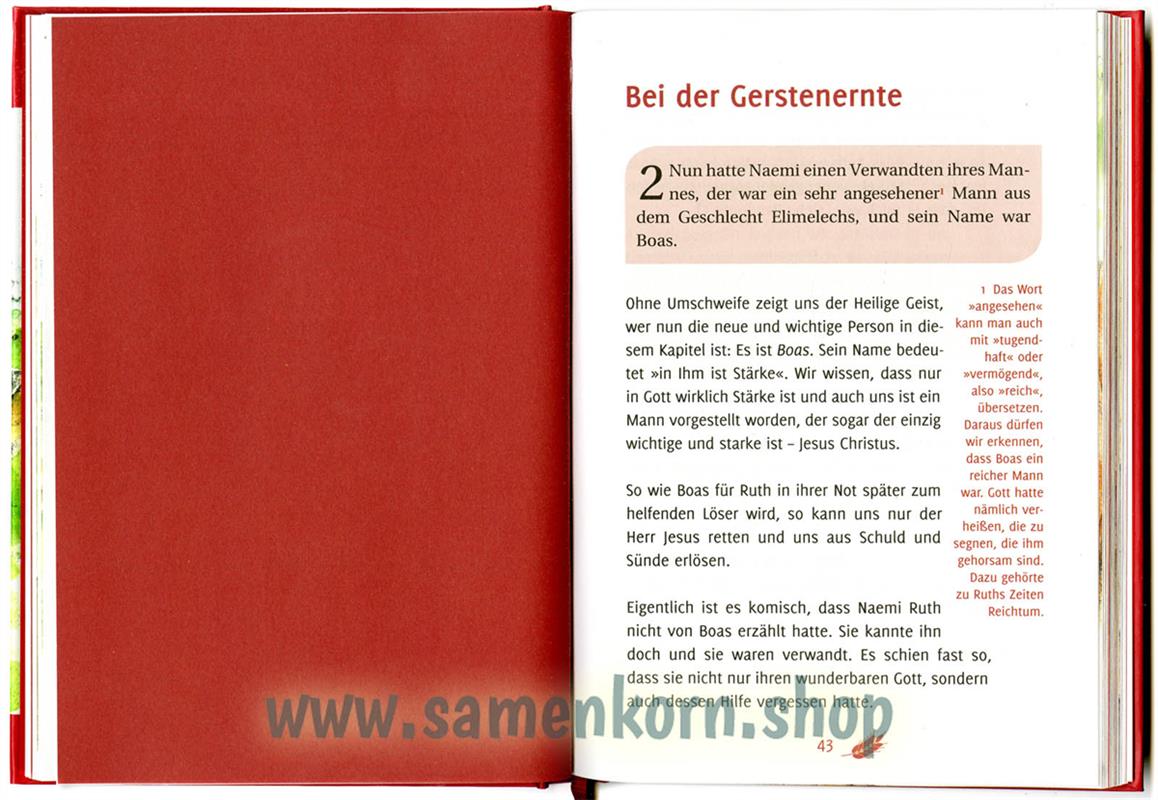 588534_Das_Buch_Ruth3.jpg