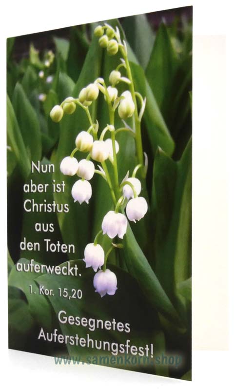 24_05_Kartenset_Auferstehungsfest2.jpg
