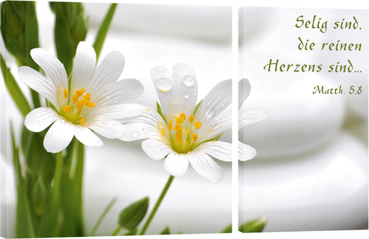 205_Bild_Weisse_Blumen_2_Teile.jpg