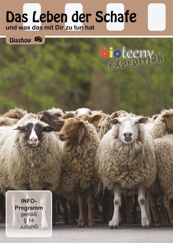Das_Leben_der_Schafe_DVD.jpg