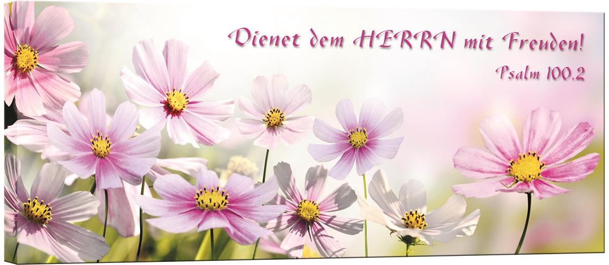 Panorama_Blumen.jpg