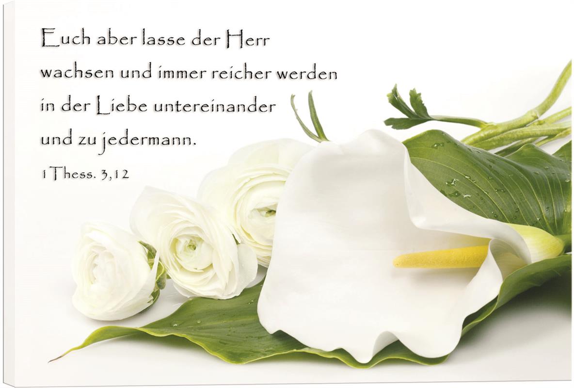 Weisse_Calla_und_Rosen.jpg