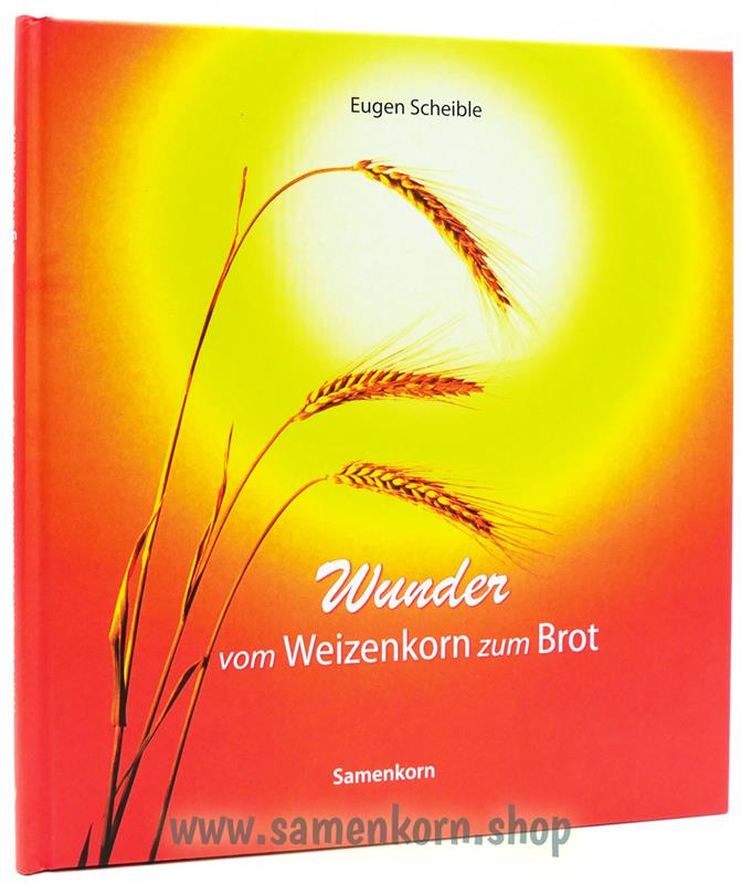 894206_Wunder_vom_Weizenkorn_zum_Brot2_2.jpg