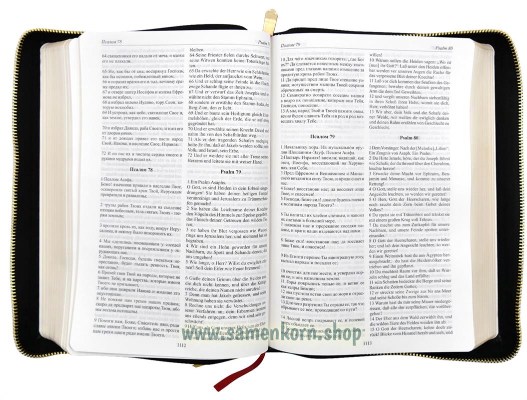 561099_Biblija_Bibel_Russisch_Deutsch3.jpg