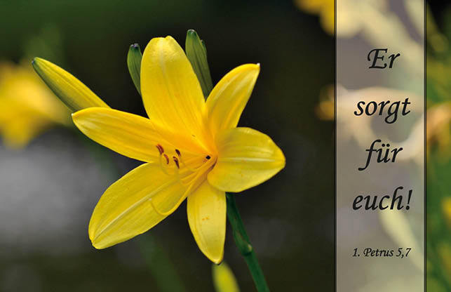 4719_Denn_Er_sorgt_fuer_euch_klein.jpg
