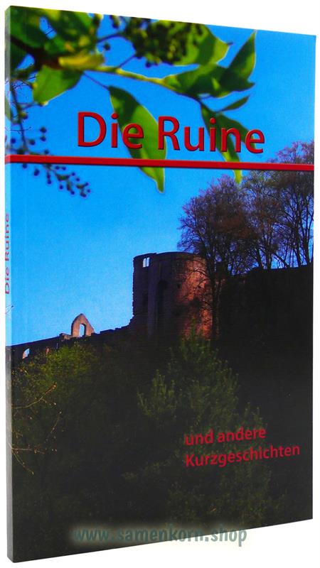 010103_Die_Ruine.jpg