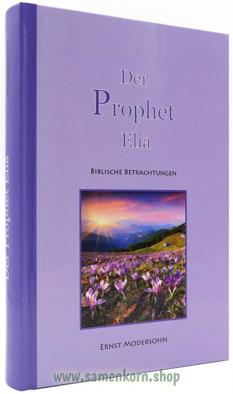 020210_Der_Prophet_Elia.jpg