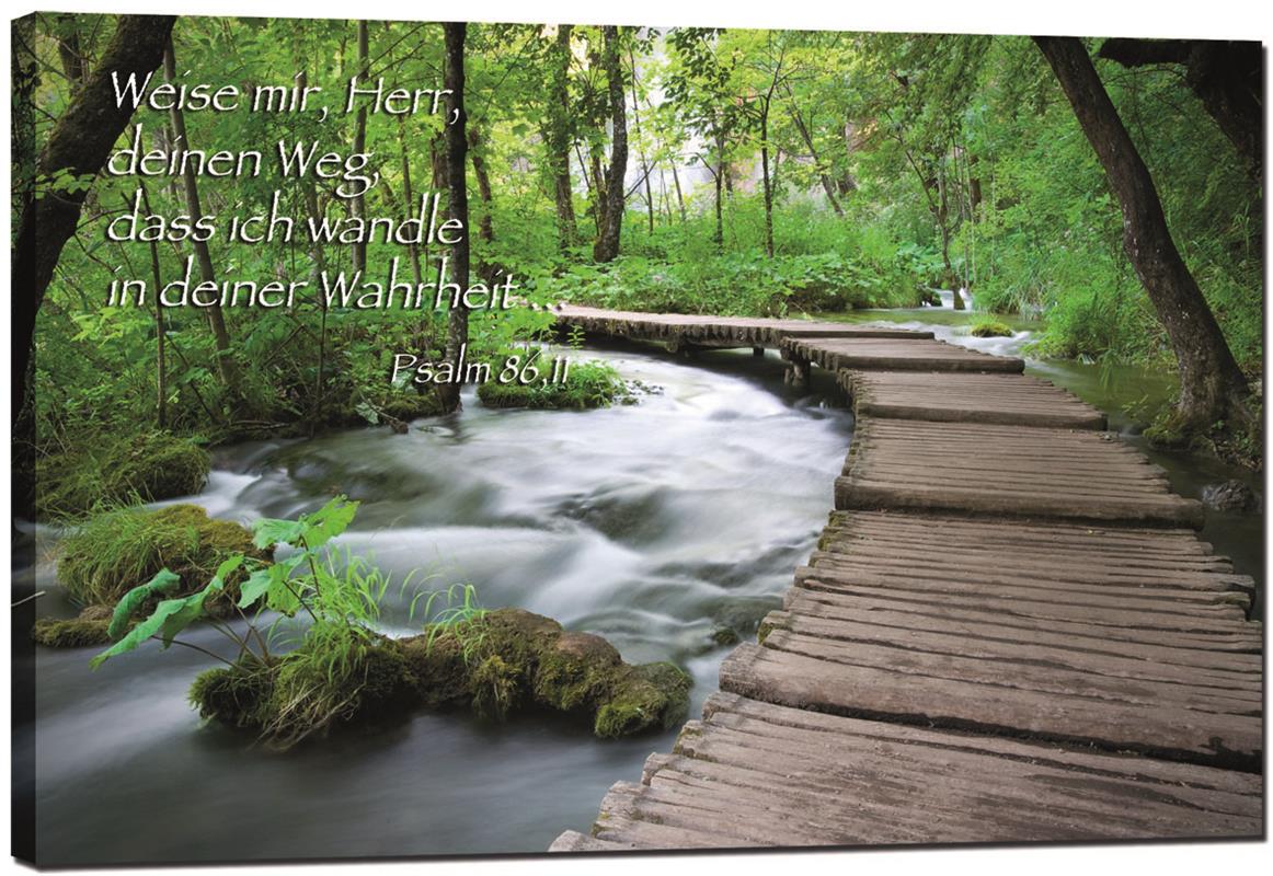 Bruecke_im_Wald.jpg