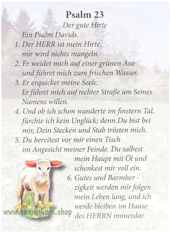 2_116419d_Karte_Psalm_23.jpg
